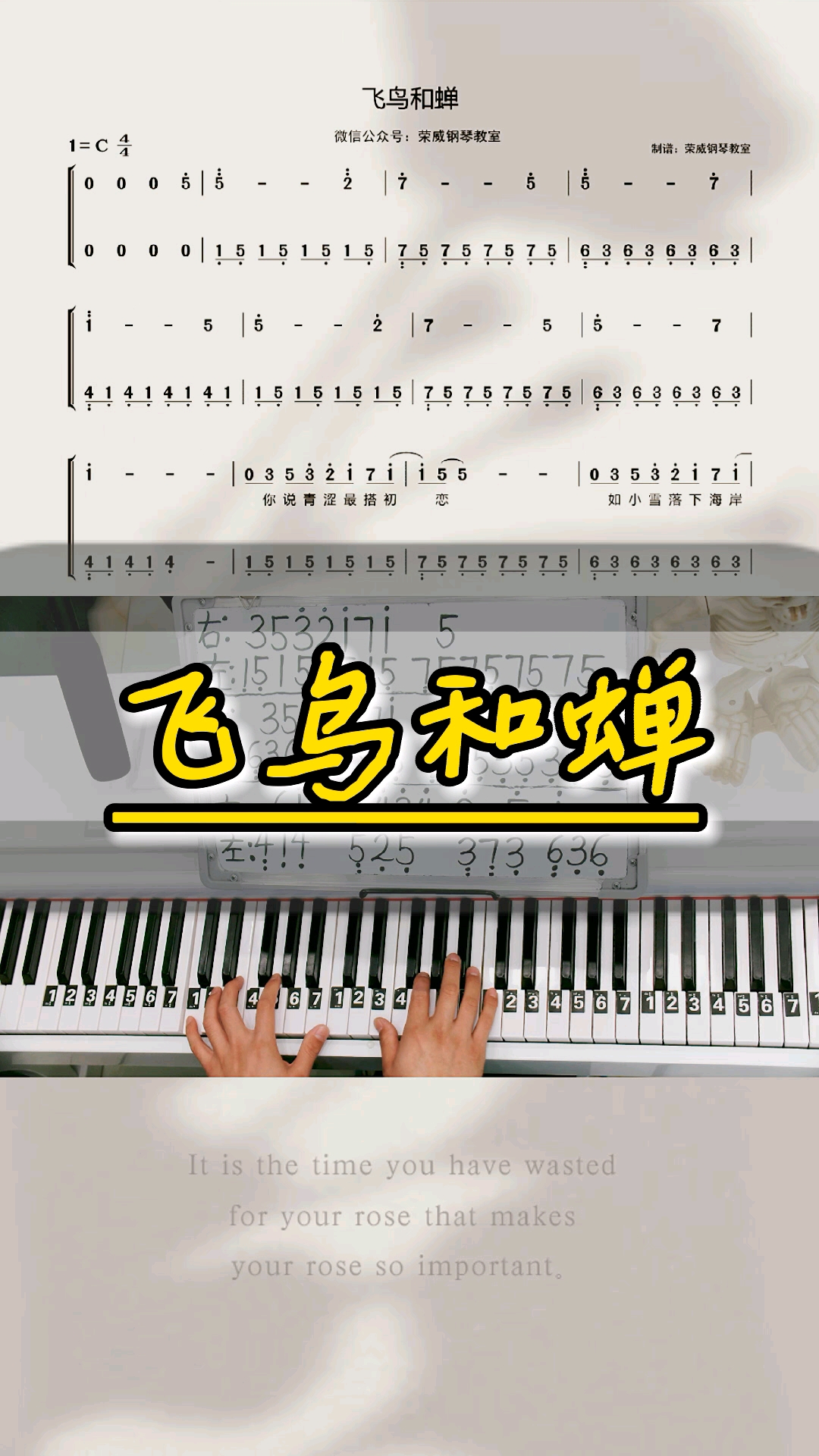 #钢琴教学#《飞鸟和蝉》钢琴教学零基础版双手钢琴简谱来咯!完整版已写好!