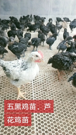 '''