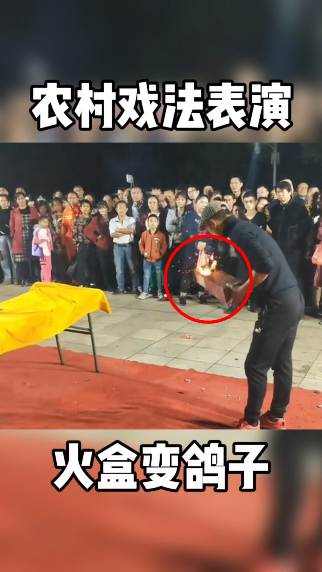 农村戏法表演,火盒变鸽子!