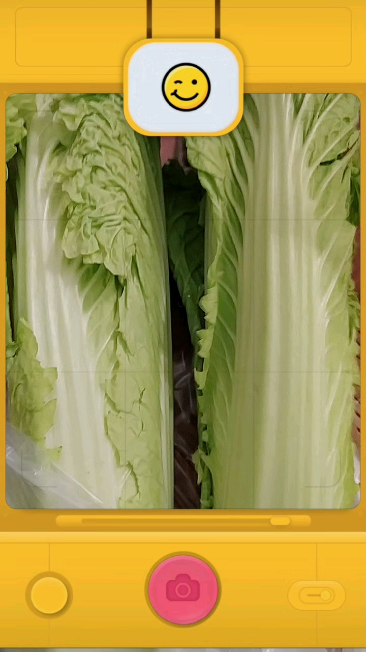 #表情包大作战#大白菜