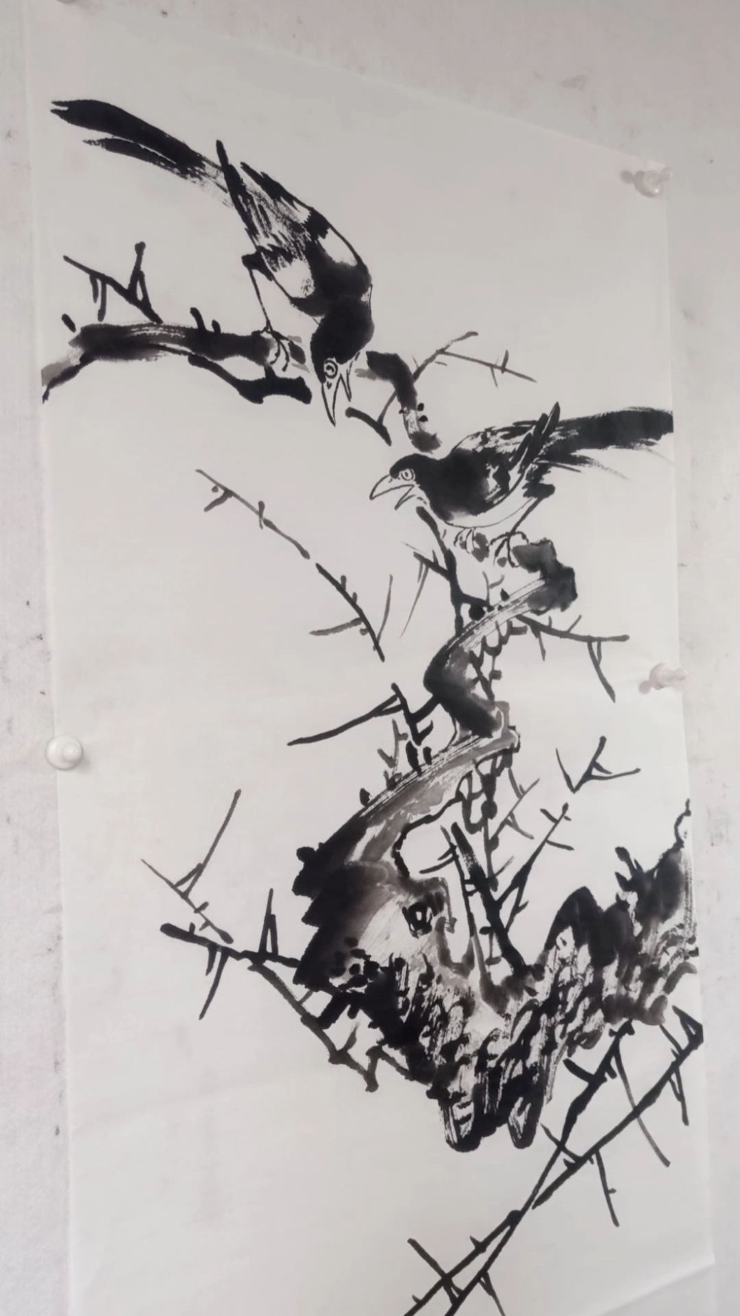 画一对山鸡,哈哈