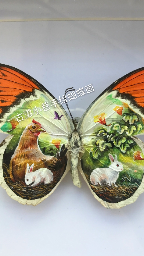 #我要上热门#古潭小巷手绘蝴蝶画,在蝴蝶翅膀上作画。最新一件客定,母鸡与兔子,实木相框挂摆