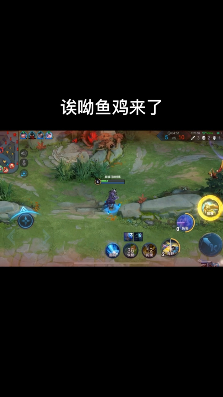 诶呦鱼鸡来了