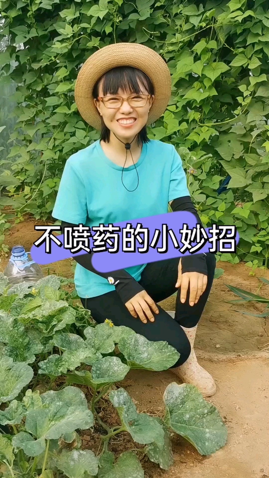 蔬菜生了白粉病又不想打药怎么办?看我的小妙招,简单又实用