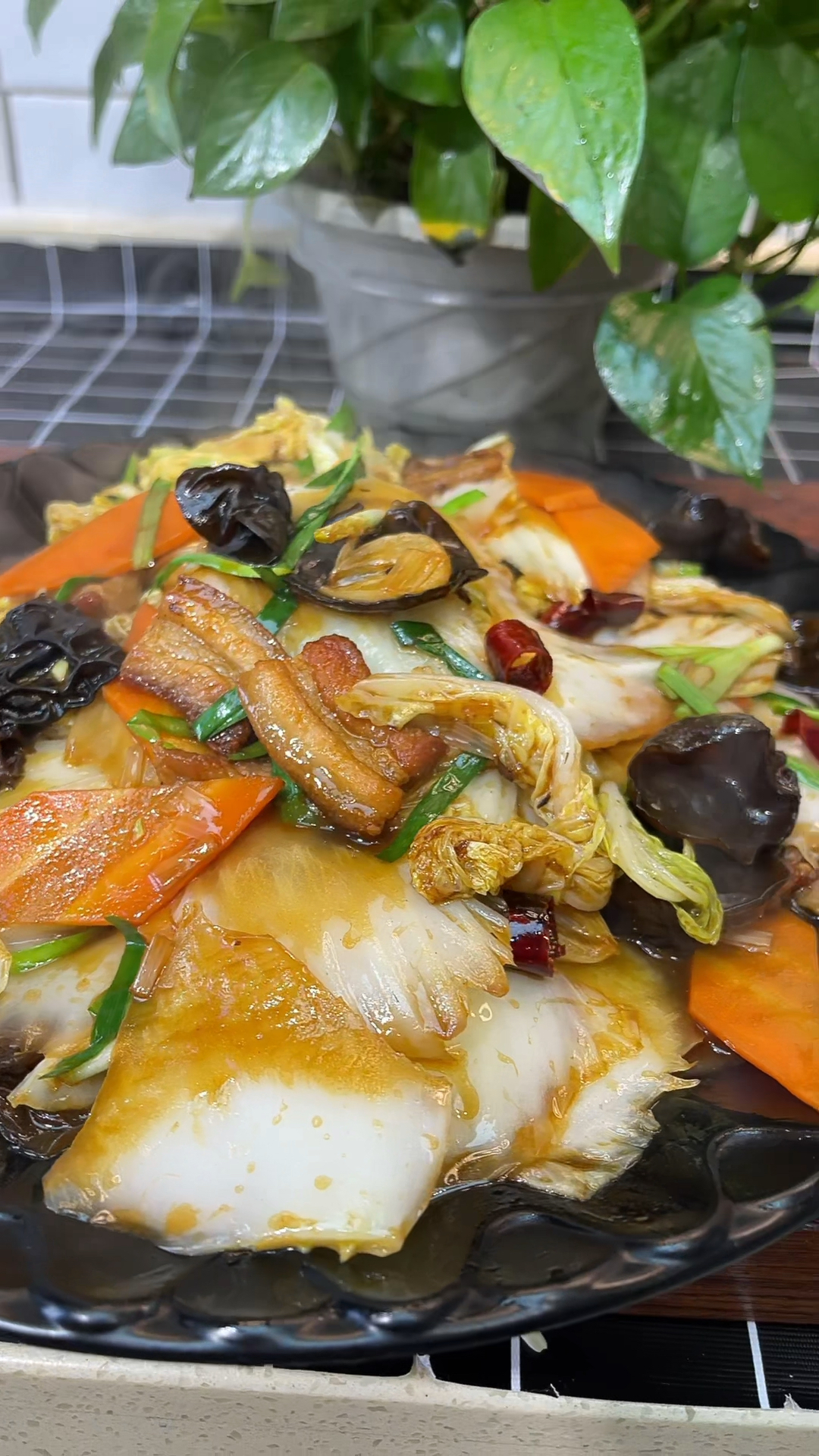 #自制美食#家庭版酸辣大白菜，感谢朋友们的支持！