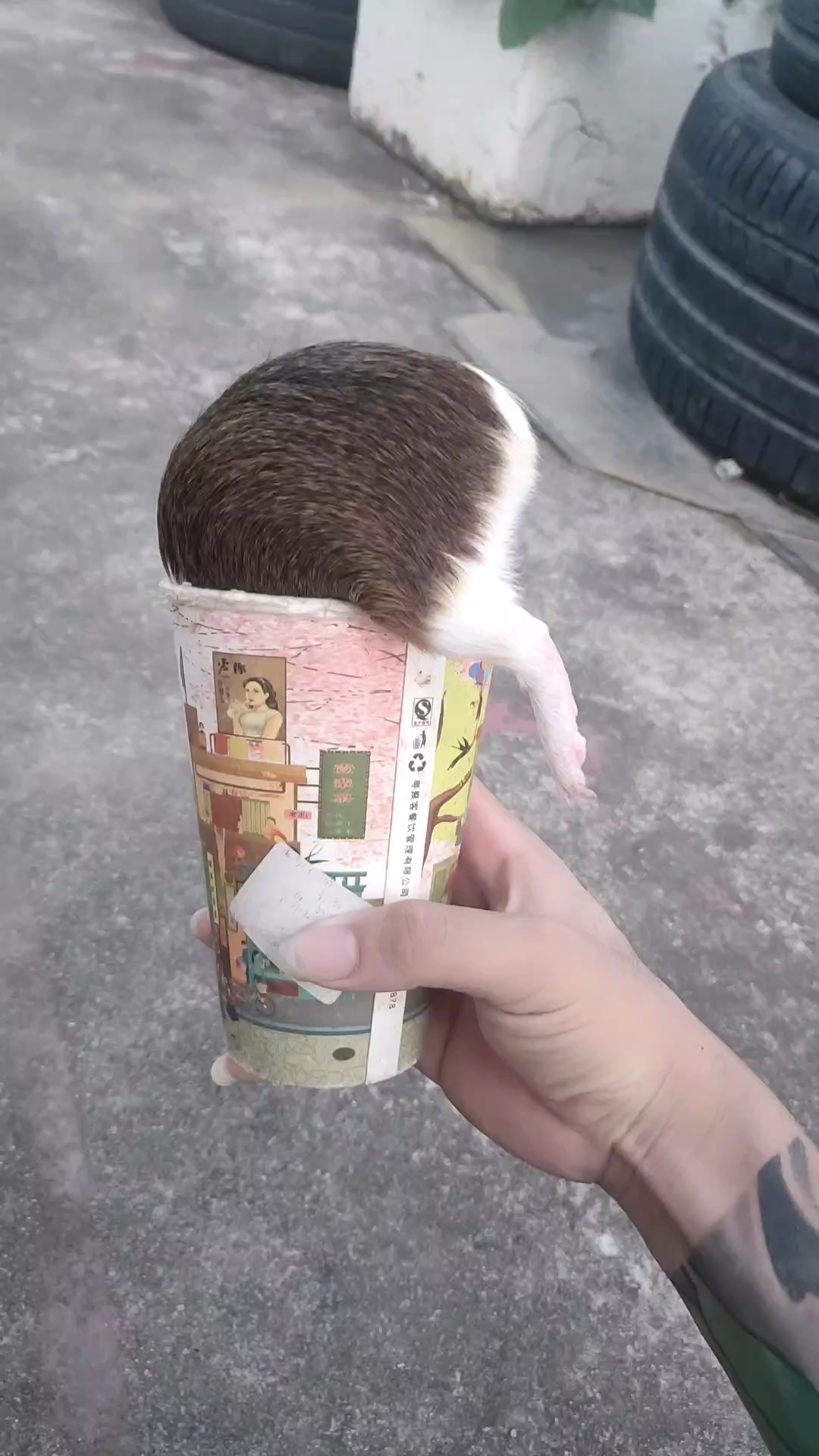 甜筒冰淇淋!