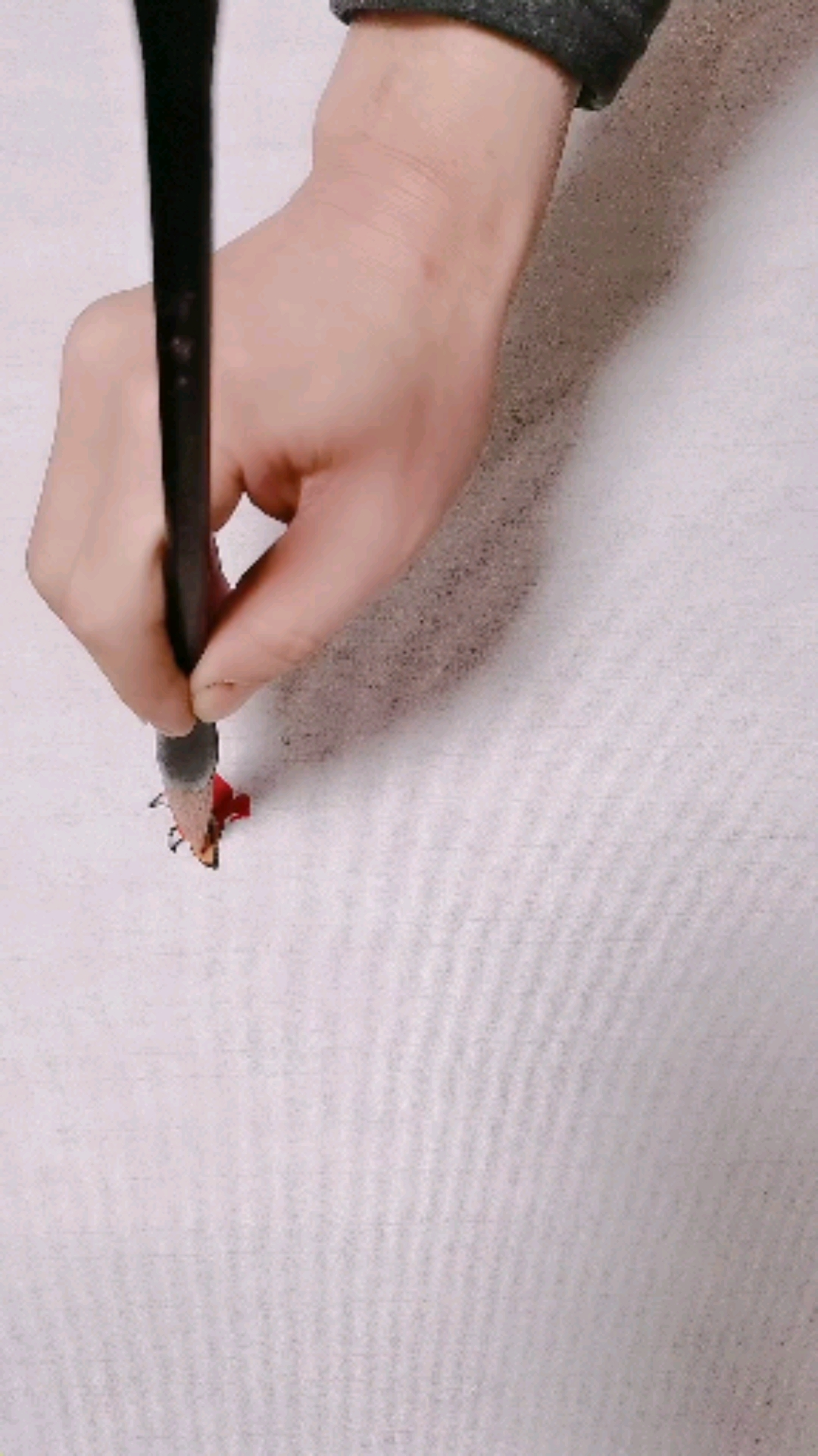 #全民最牛手艺人#教你画褐马鸡