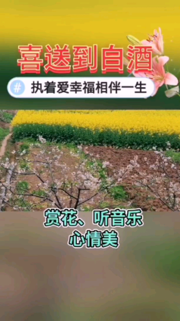 #执着爱幸福相伴一生#乡村大自然风光,观赏美丽的油菜花花海美景,乡村村庄,心情美美