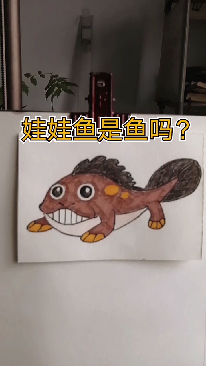 娃娃鱼不是鱼,是最大的两栖动物,体长可达1.8米,叫声似婴儿啼哭,可以活130年