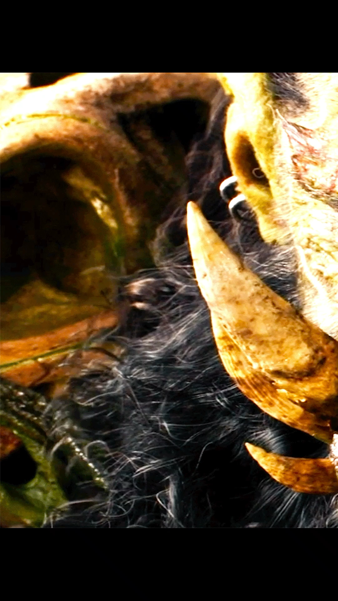 #电影解说#他就是魔兽,一身肌肉,满嘴大獠牙,力大无穷,爱好就是打架!