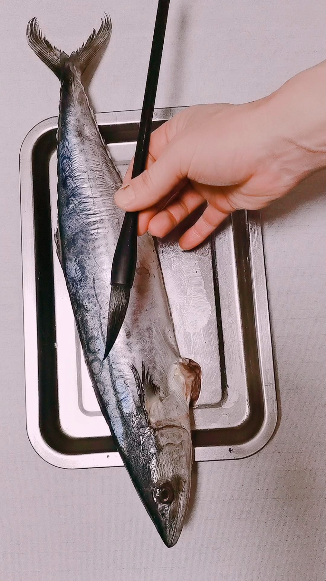 #我要上热门#对鱼写生