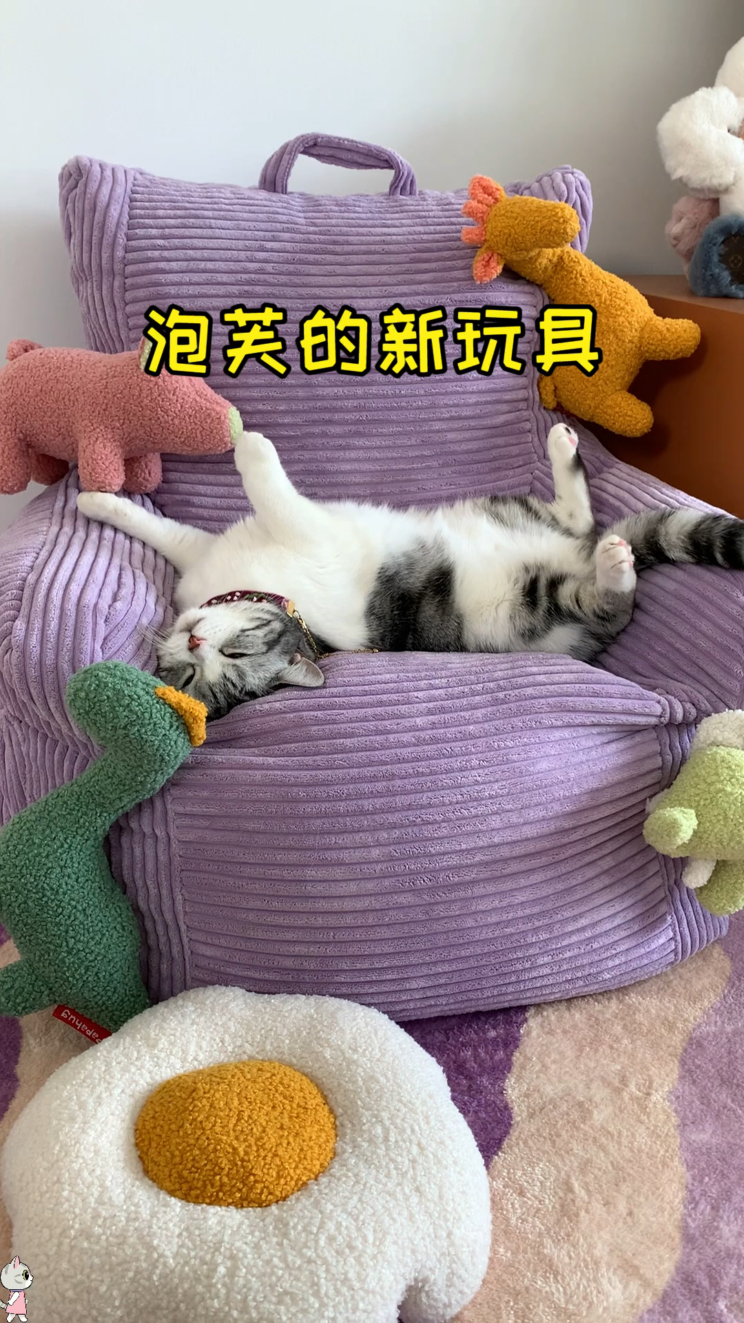 #猫咪日记#泡芙收到了新玩具小猫咪是时候展现球技了
