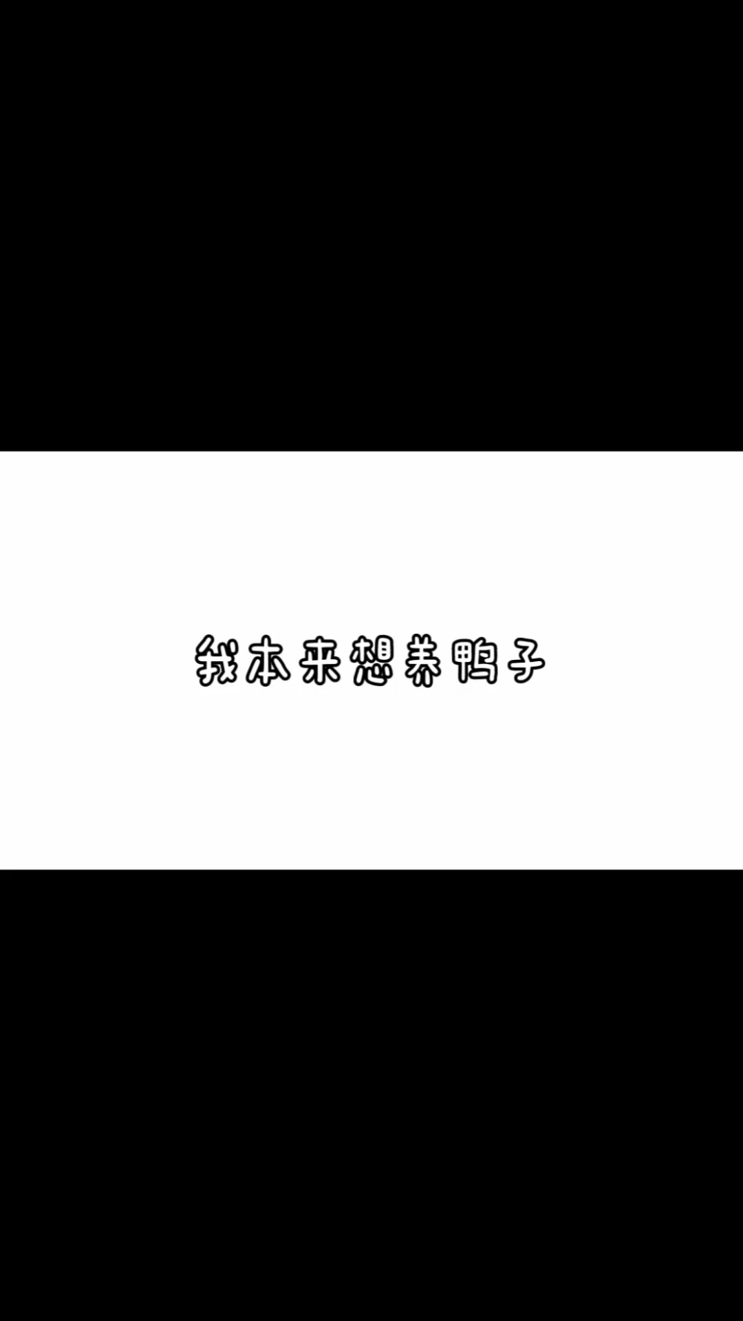 可以起名字吗?两个哦