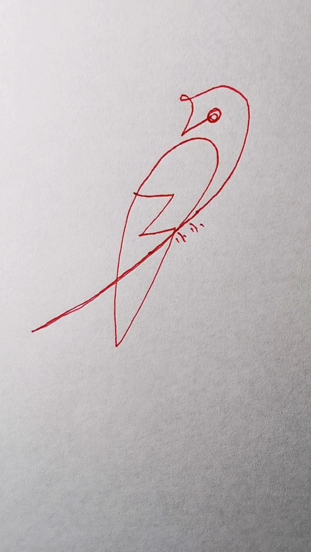 #轻知计划#一笔画小鸟。