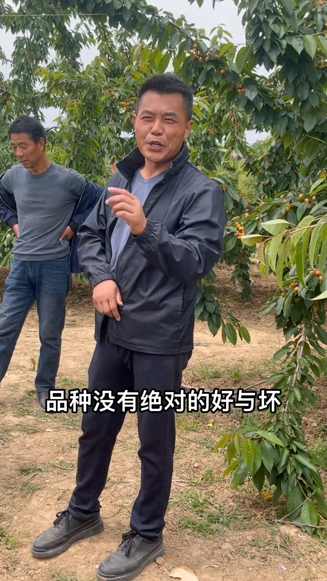 种植果树怎么选择好的品种?