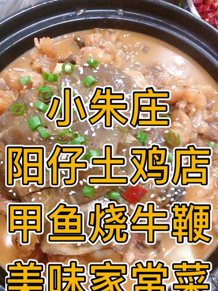 #快要憋疯的你#甲鱼私房菜,汤汁泡饭打开味蕾,秘制招牌土鸡煲,精美家常菜,固始鹅块汤鲜肉香