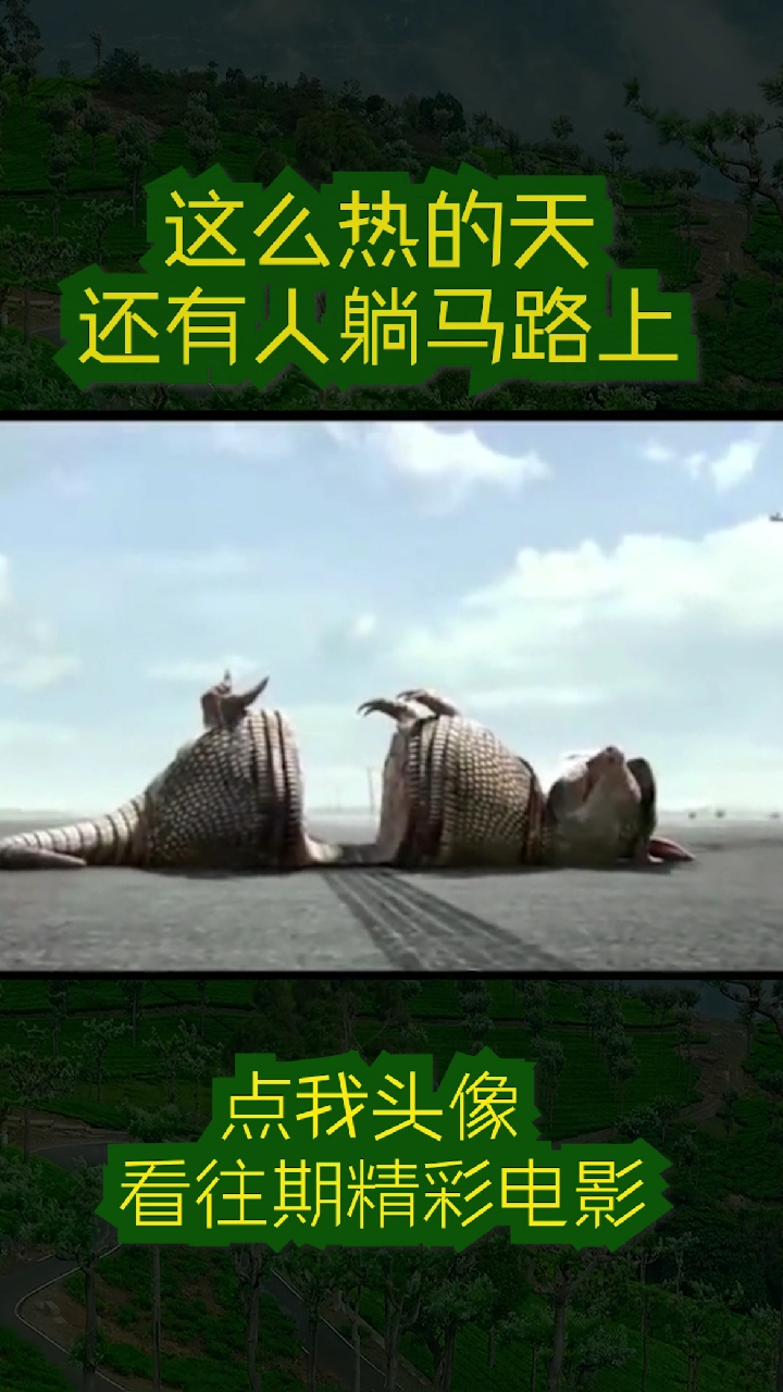 #搞笑影视#这么热的天,看到有条鳄鱼躺马路上,要不要带点自然