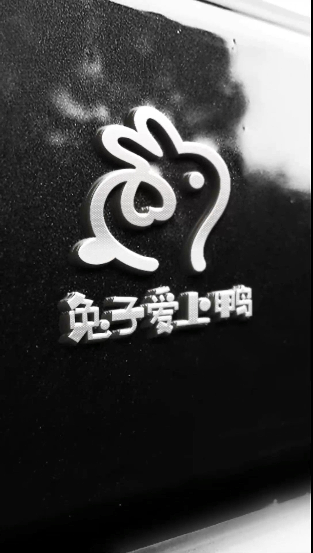 #logo设计#一个兔子爱上鸭,一笔搞定的logo设计