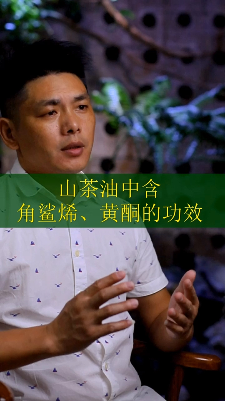 #健康养生#第6集:茶油可以润肺、解毒、消肿、止痒、美容,可以祛斑驻颜