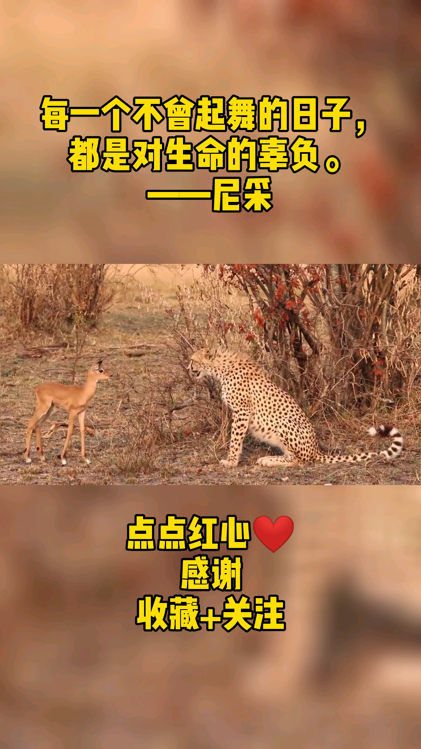 #简短文案#每一个不曾起舞的日子,都是对生命的辜负。——尼采