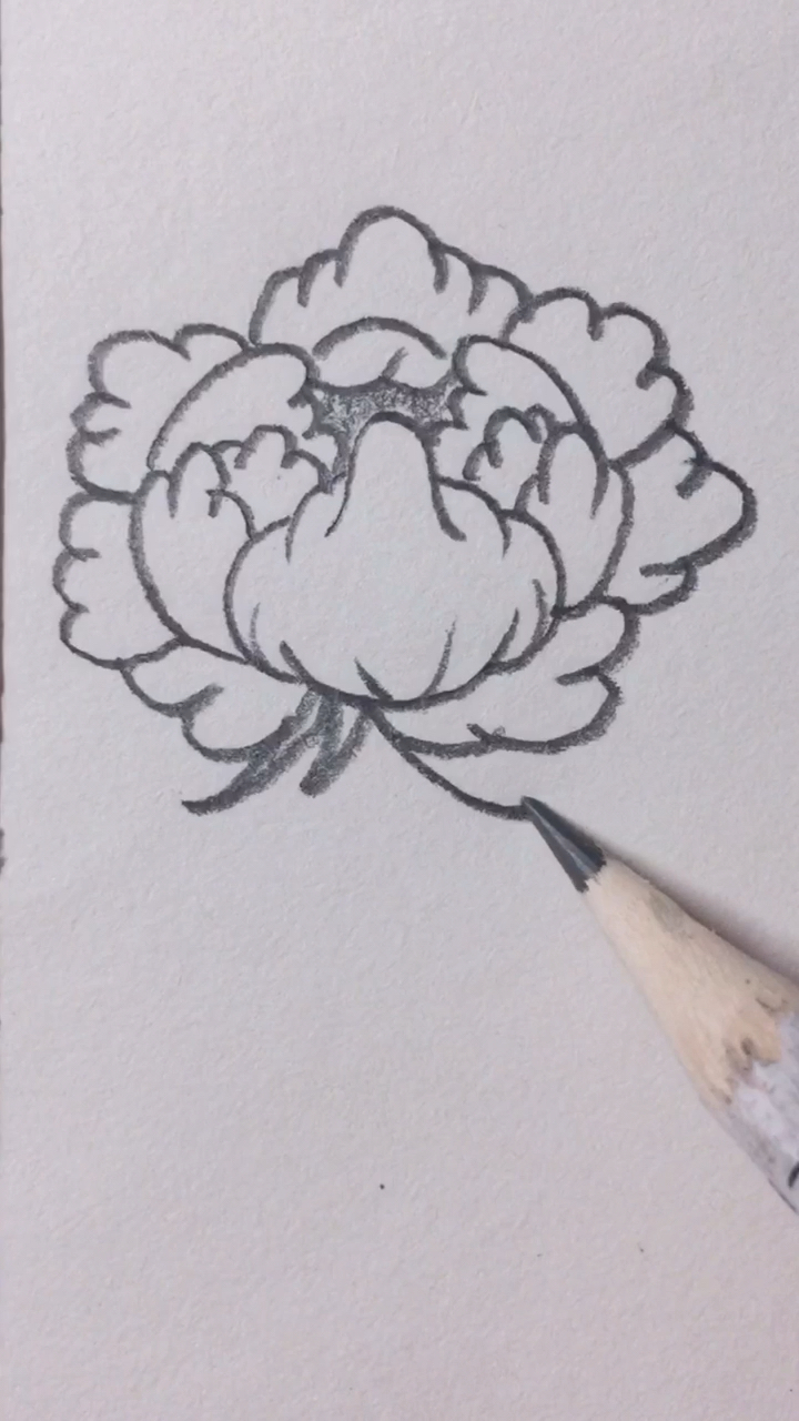 #简笔画#学画菊花简笔画