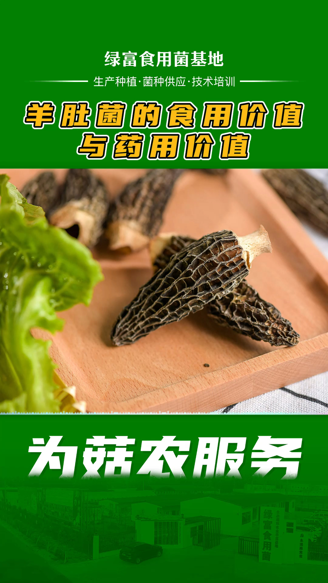 羊肚菌营养价值和药用价值,人工种植的羊肚菌营养价值,羊肚菌营养价值及功效与作用