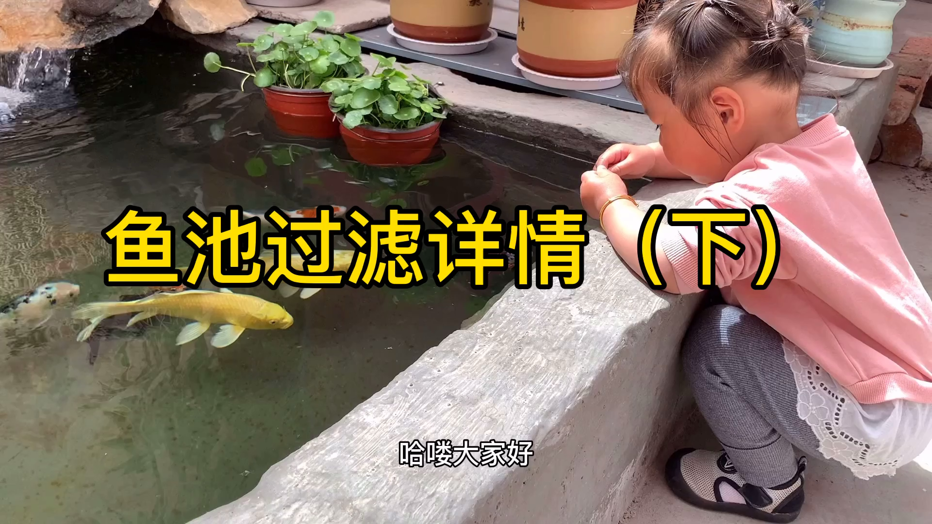 #乡村生活#自制假山流水锦鲤鱼池过滤,详细解说