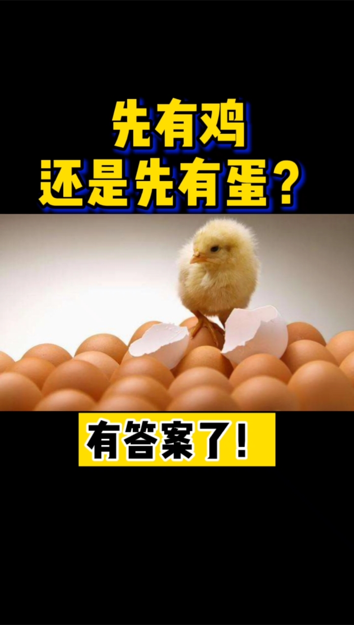 #每天一点冷知识#先有鸡,还是先有蛋?听听专家是怎么说的!