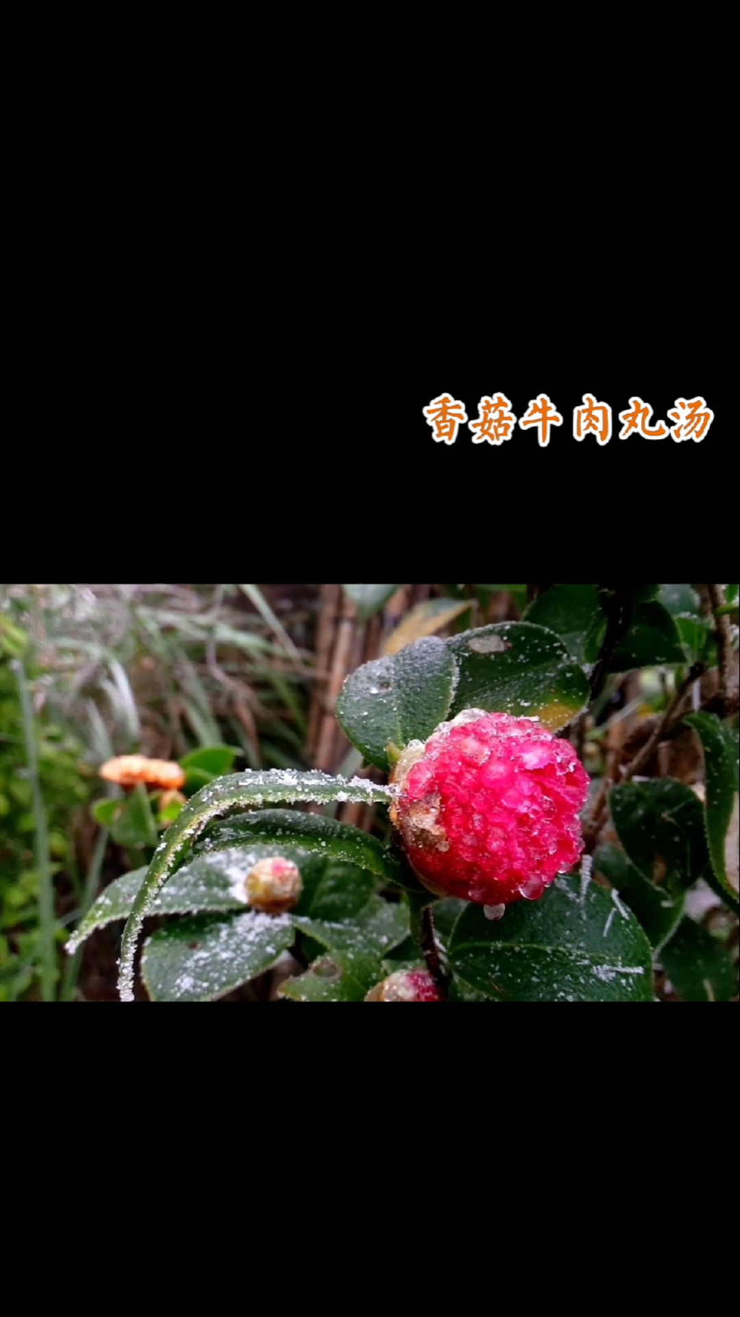 #家乡特色美食#香菇牛肉丸汤