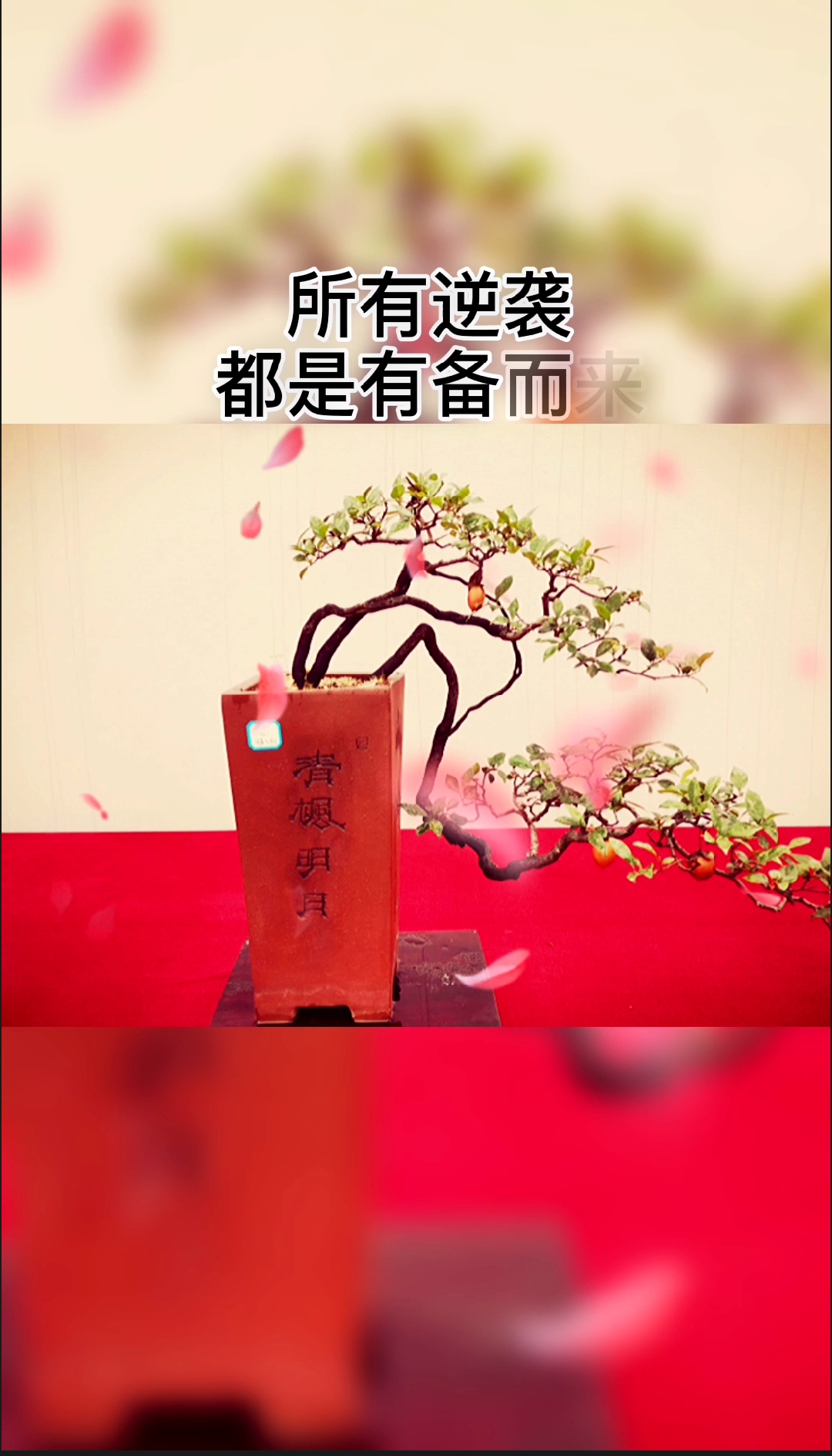 #情感语录#太多的毒鸡汤告诉你,你想要的岁月都会给你