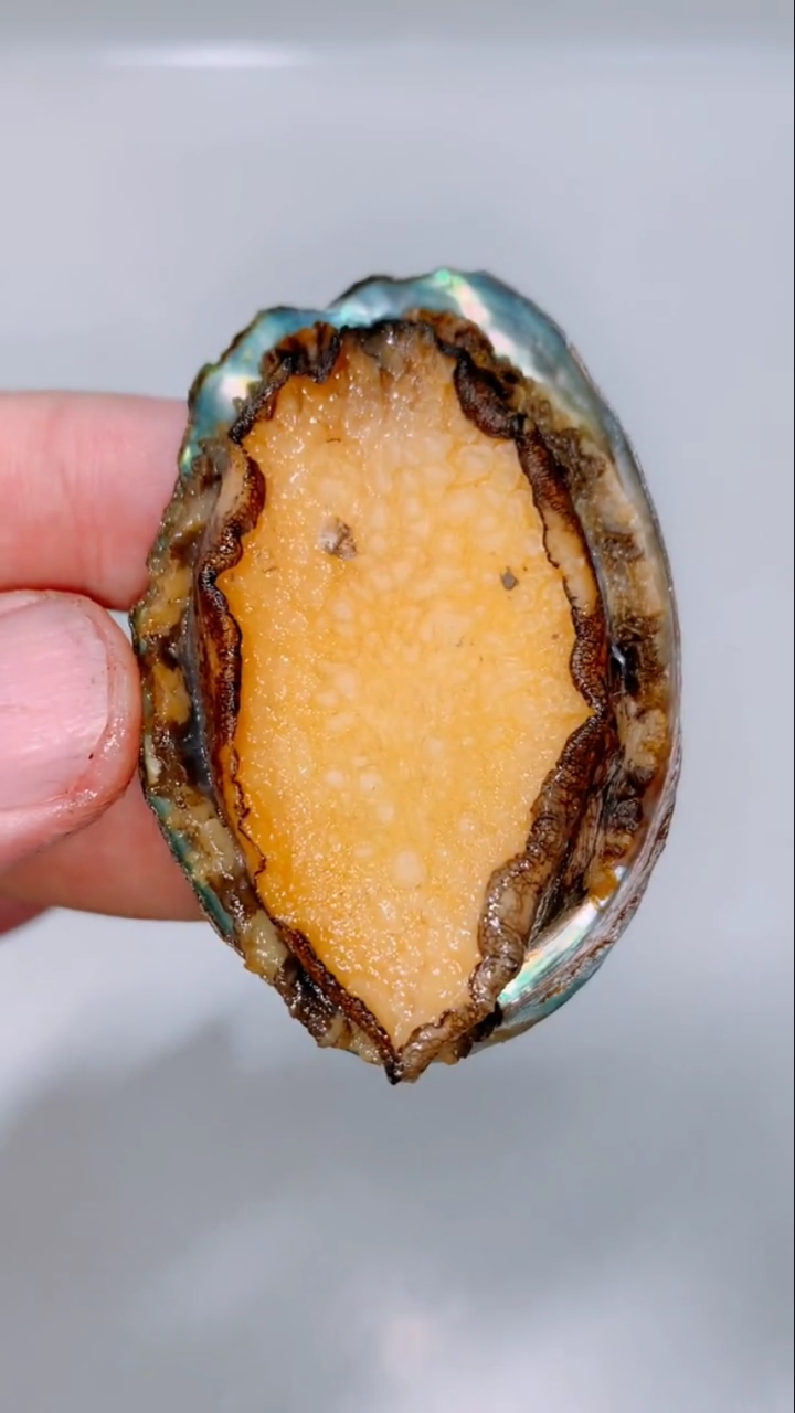#美食教程#最正确的鲍鱼吃法应该是这样的