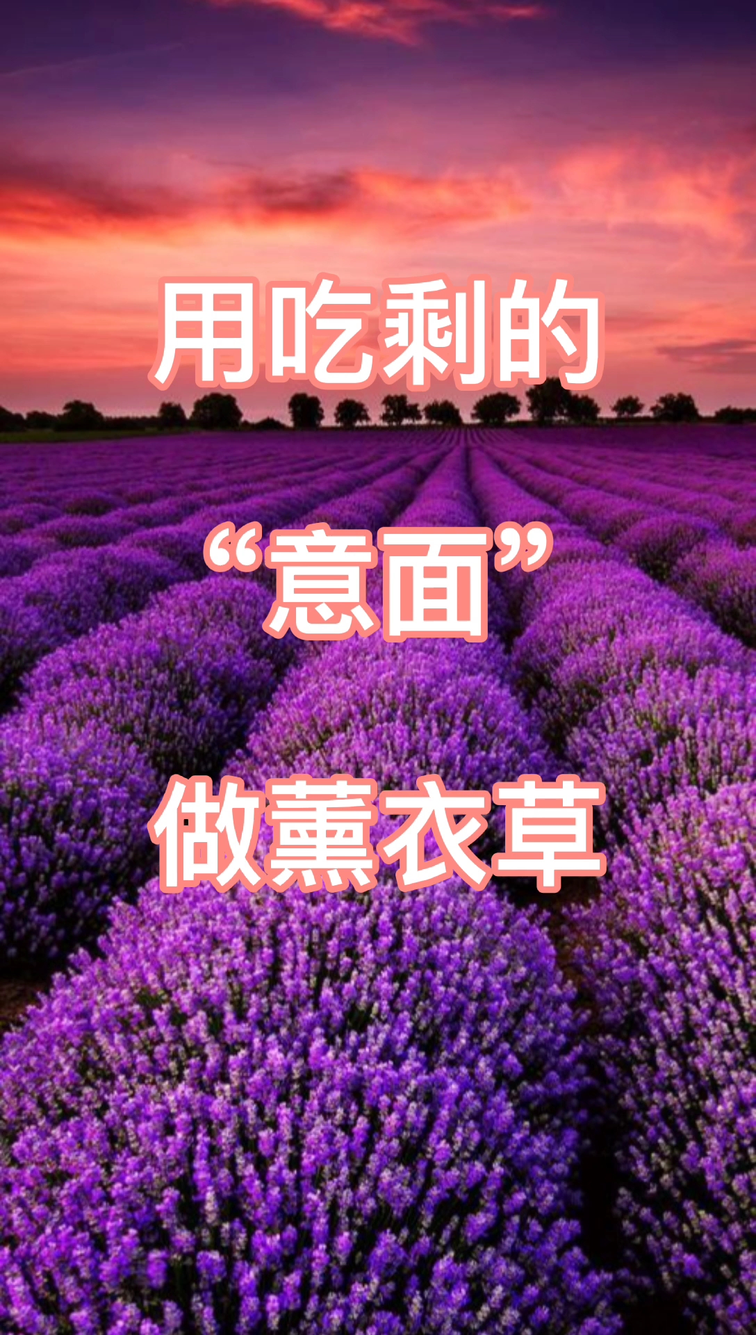 #生日蛋糕#惊!当蛋糕师看到薰衣草,竟然……~