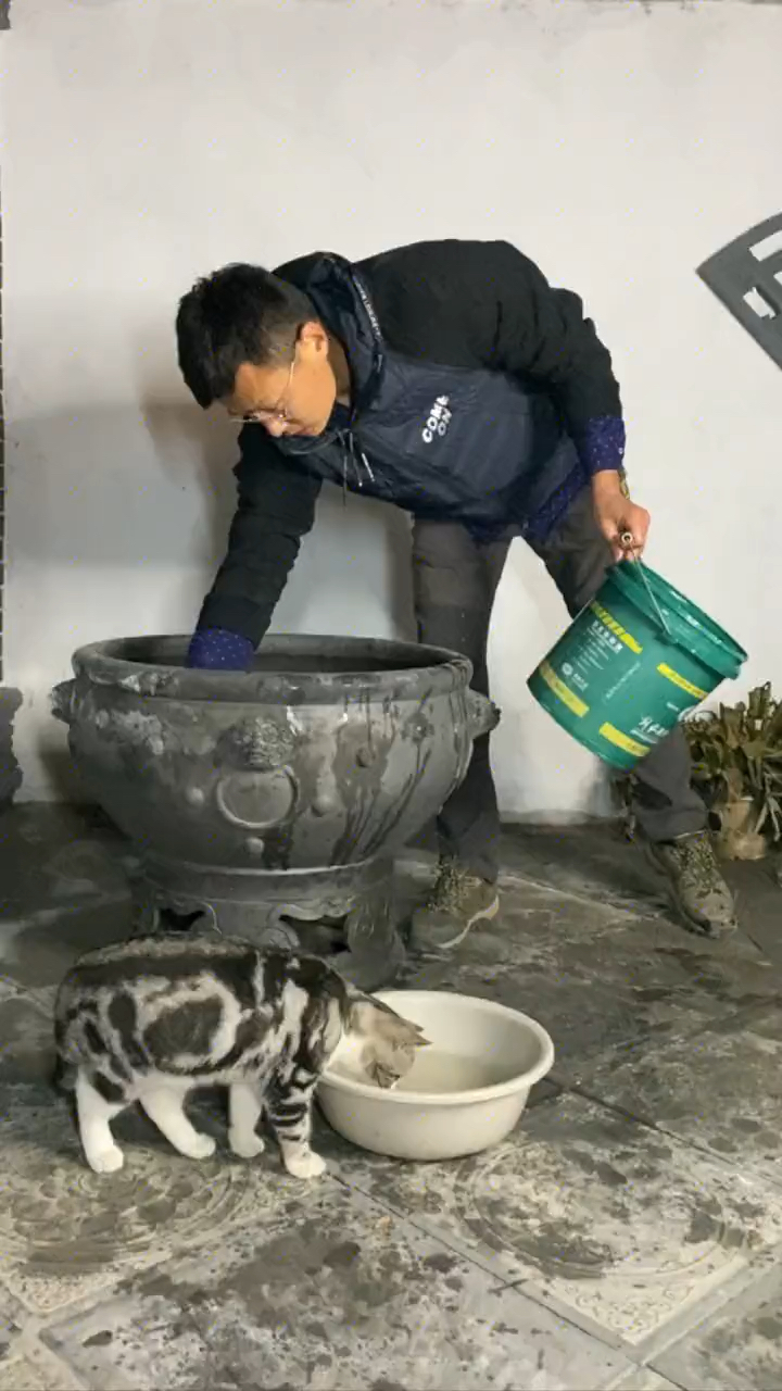 小院里的虎头缸差点被冻裂,不知道今年冬天会不会很冷