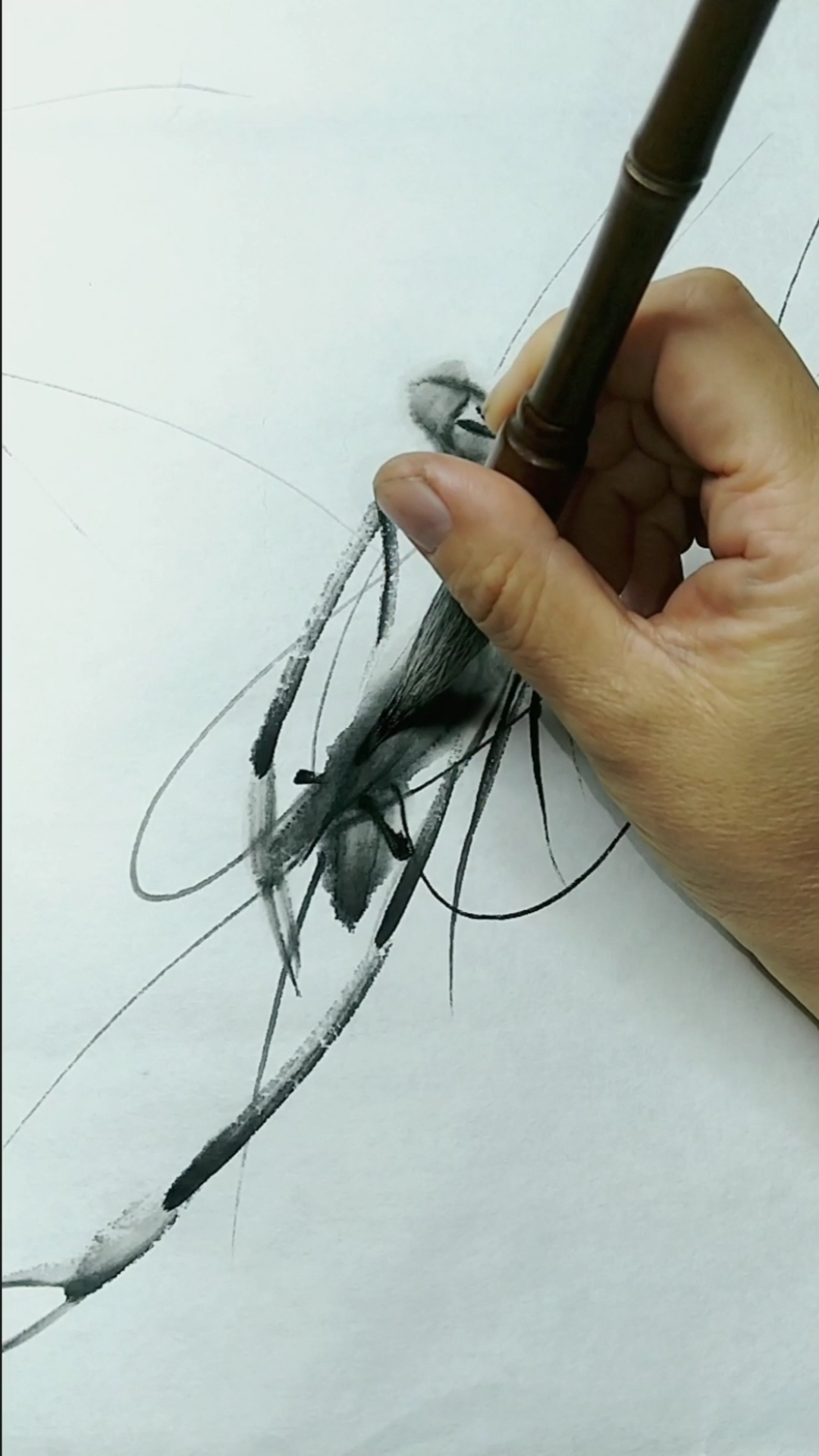 #中国画#超简单一支笔画虾
