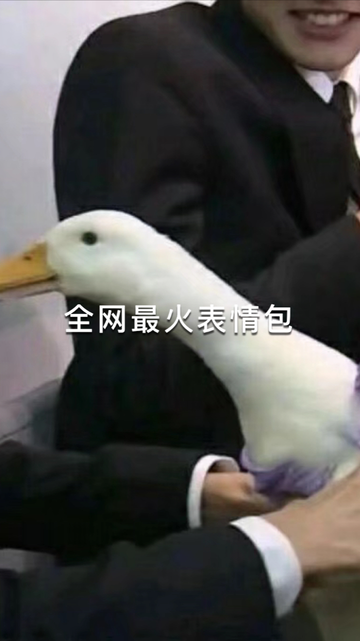 #表情包##表情包大全