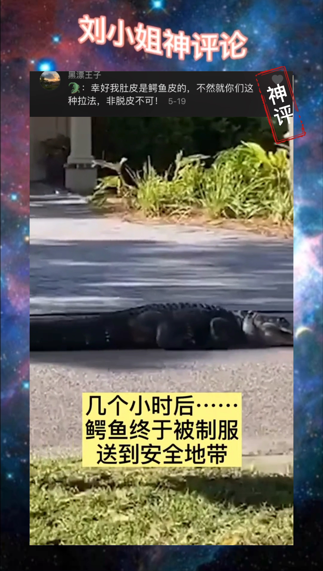 得亏是鳄鱼皮的要不然