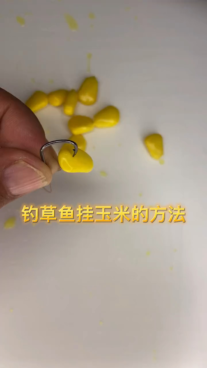 #钓鱼技巧#钓草鱼挂玉米的方法,记得收藏奥!