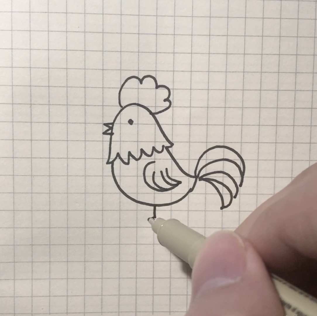 #简笔画#小公鸡～