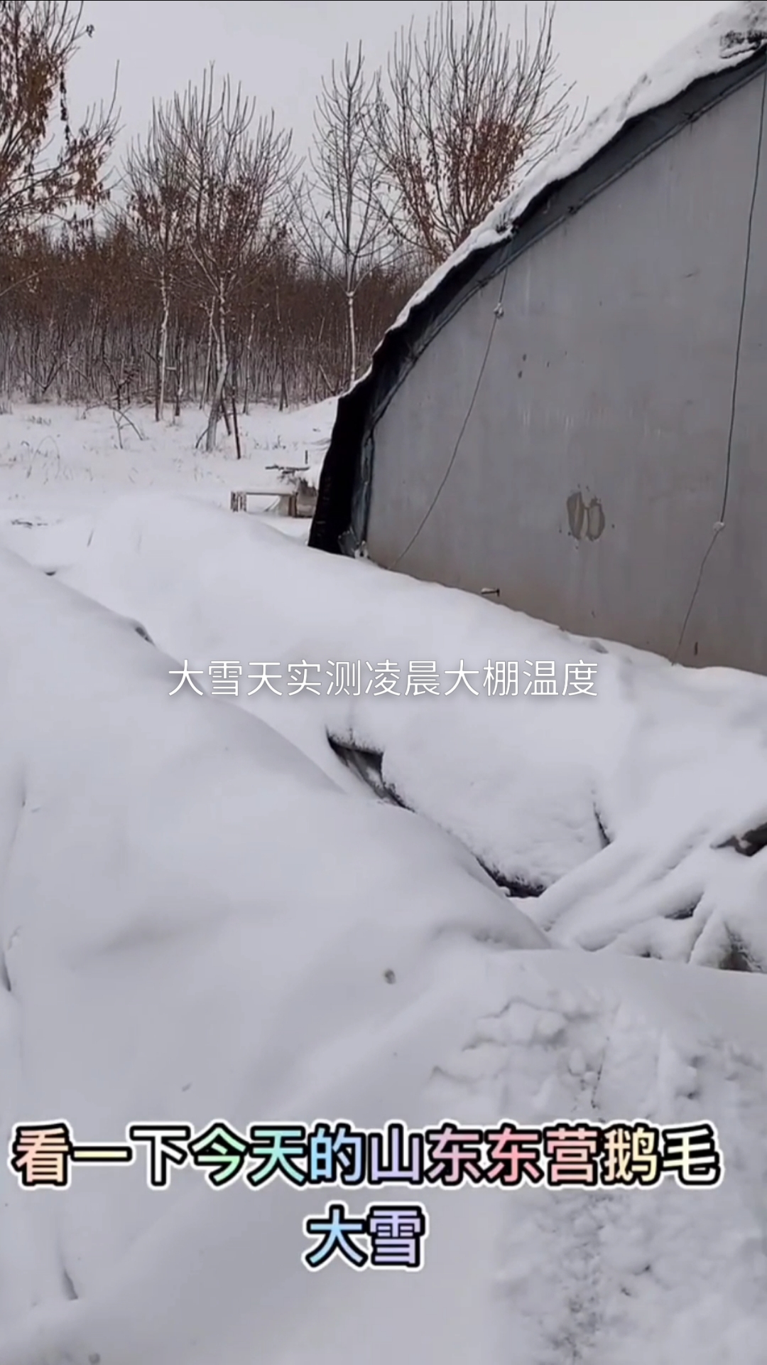 大雪天凌晨实测大棚内部温度