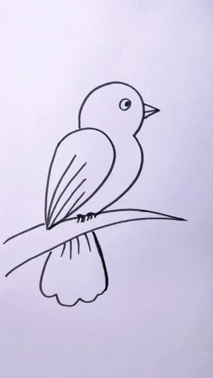 超简单的小鸟简笔画