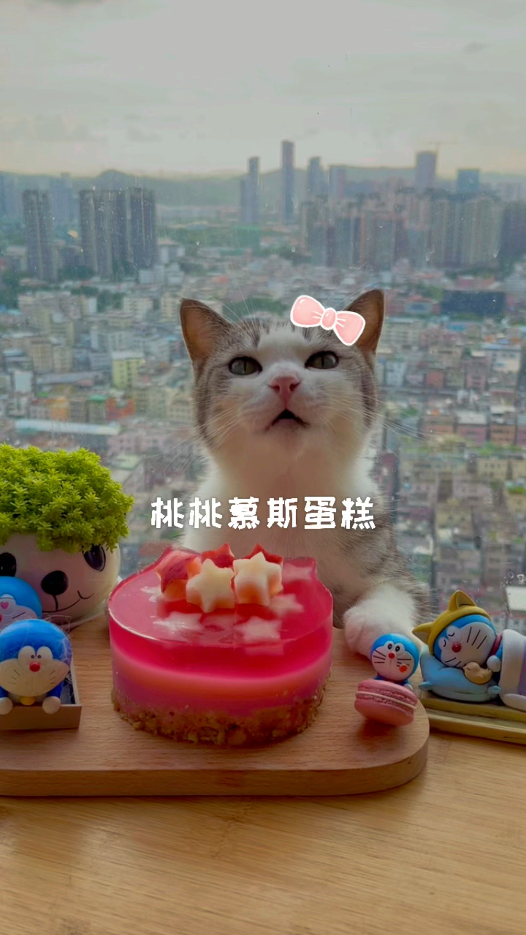 #猫咪日记#厨猫：高颜值简单又好吃的桃桃慕斯蛋糕