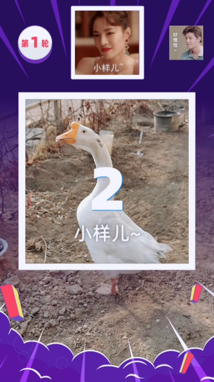 #模仿秀大会#大白鹅特聪明,邻居大姐总喂他食,每次看到大姐大白鹅就打招呼。