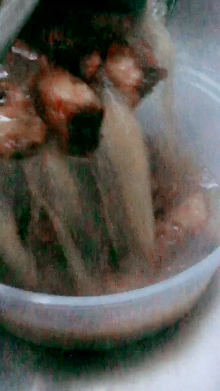 炸糊了的鱼