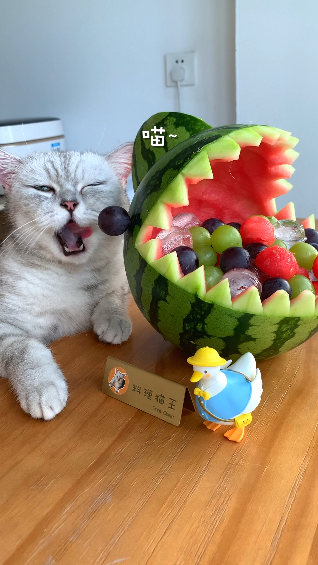 #猫咪日记#用西瓜做一个鲨鱼