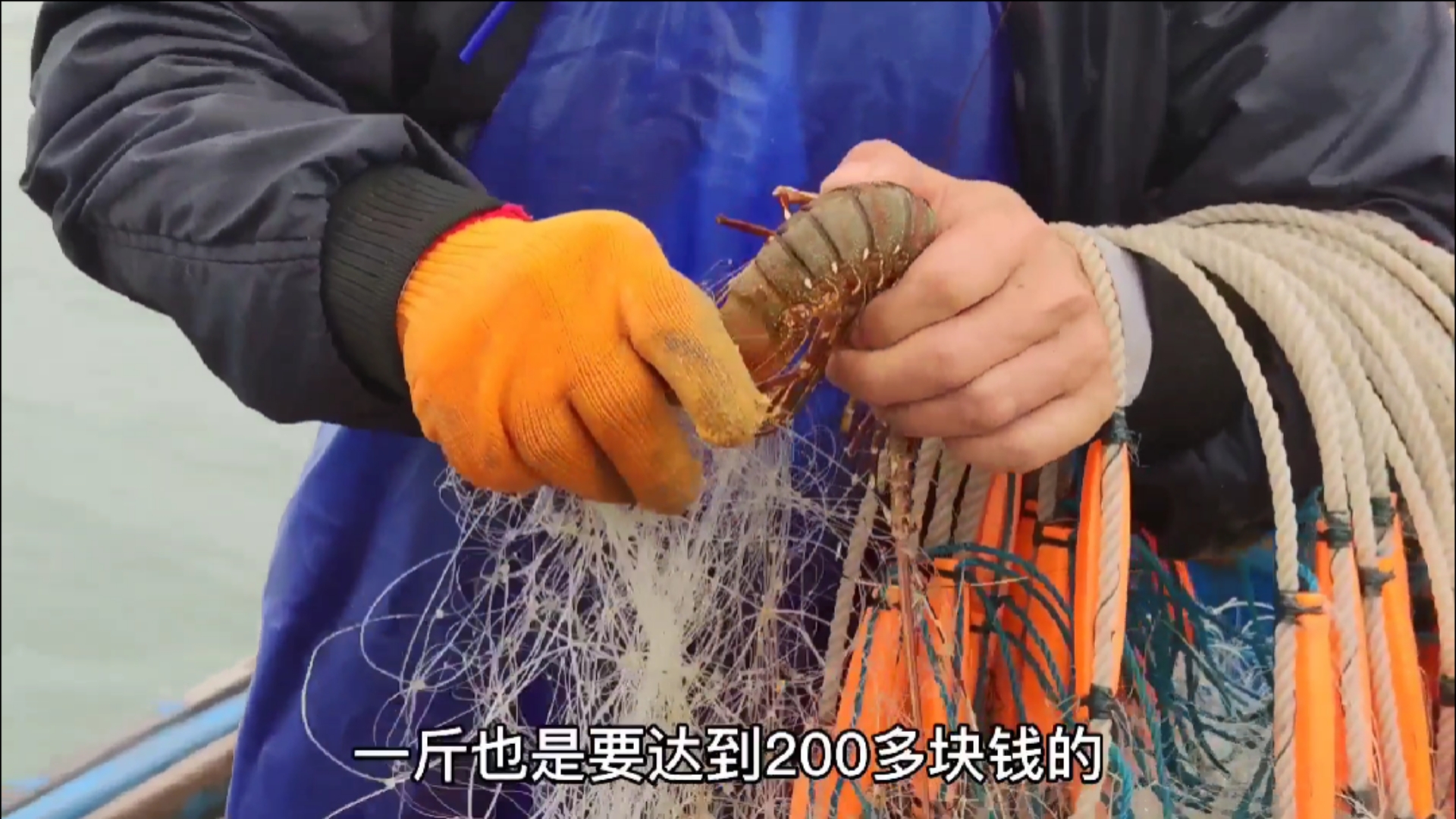 #赶海户外#彪哥捕到值钱的海红斑就会在鱼肚子上扎一针,这样鱼更好卖,这是为什么?(中)