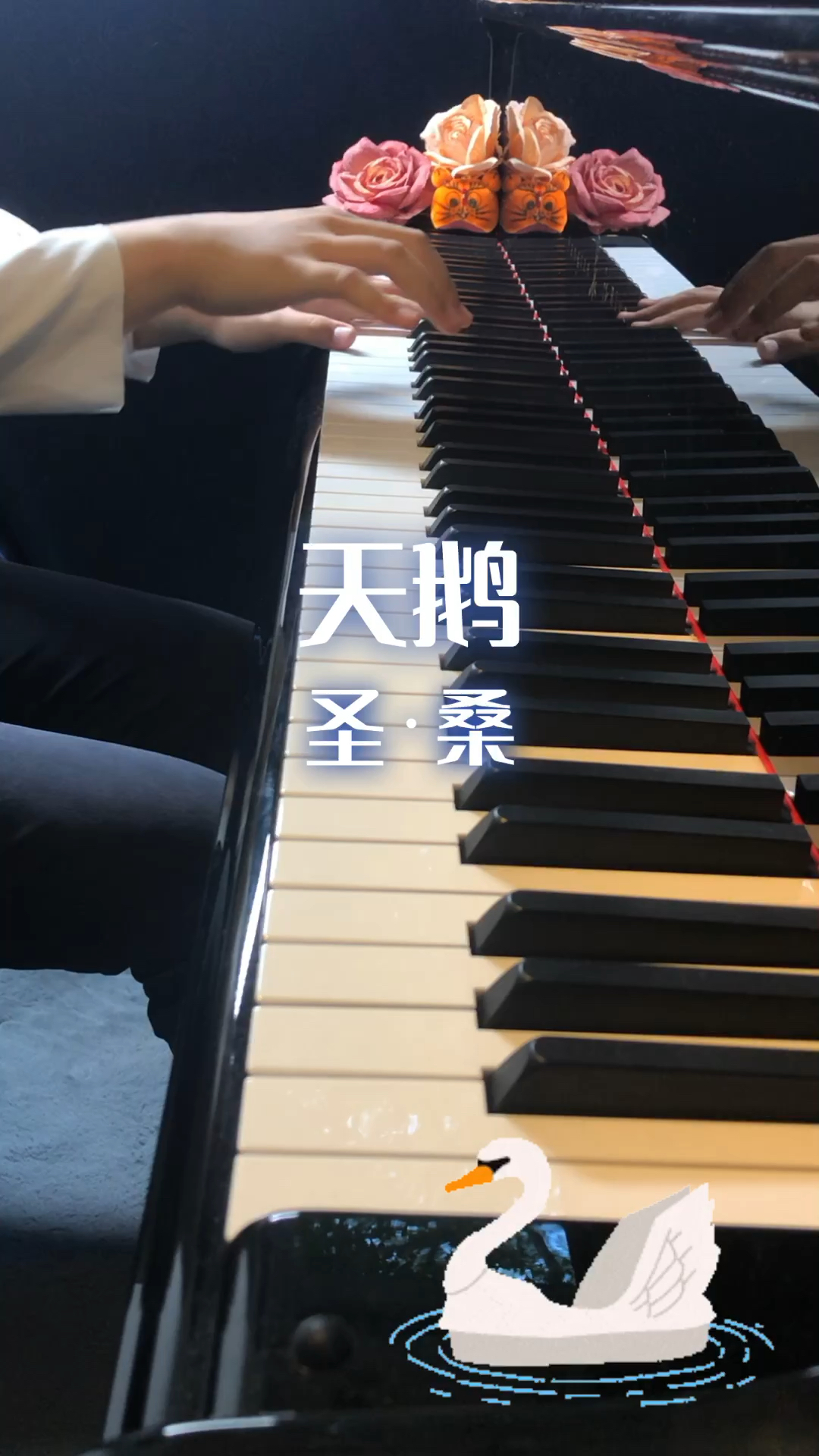 #钢琴#经典古典音乐圣·桑《动物狂欢节》选段《天鹅》钢琴演奏