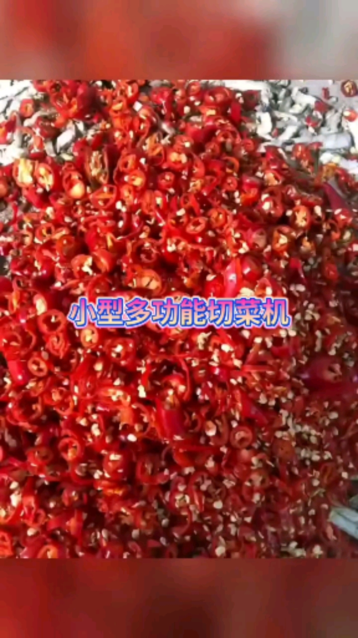 小型切菜机,实体厂家,多功能一体机