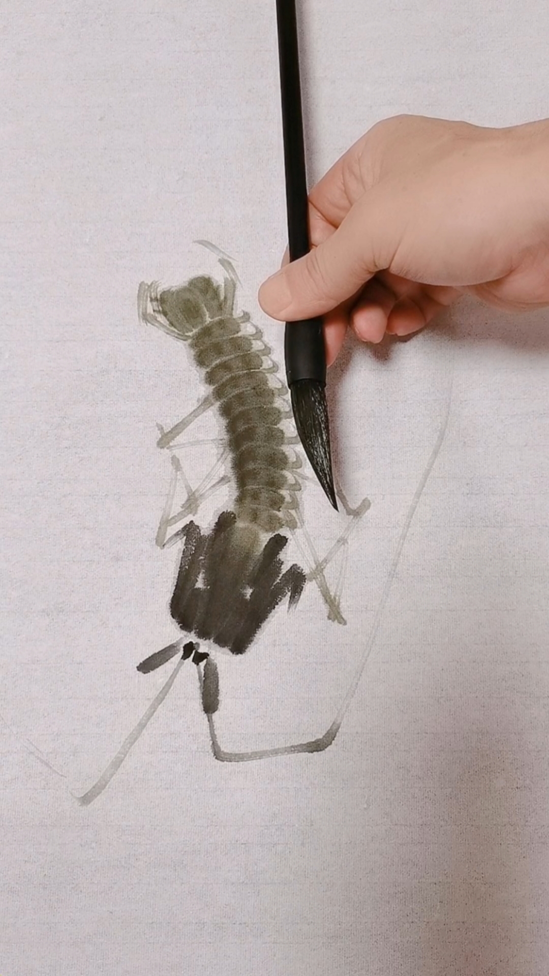 #我要上热门#皮皮虾画法演示