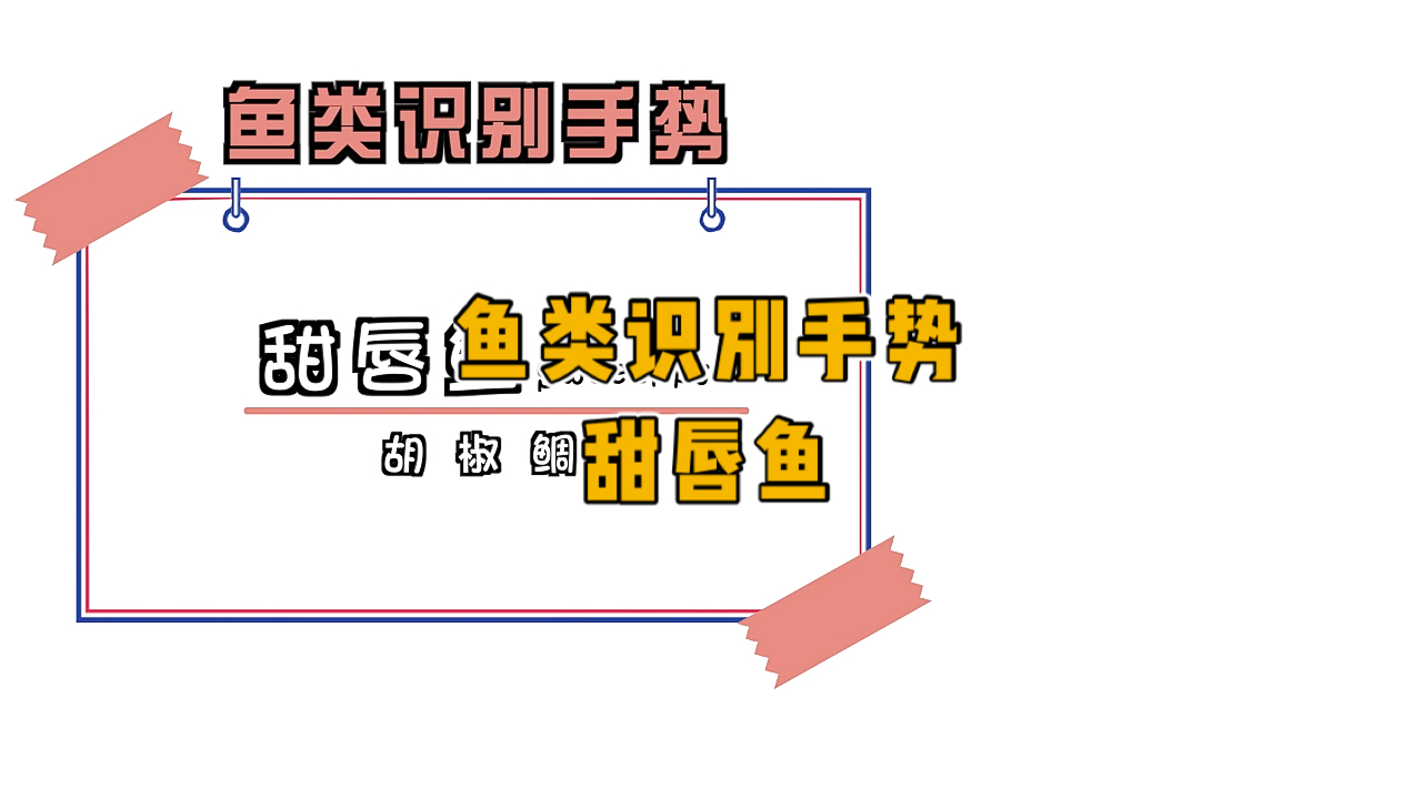 #潜水#鱼类识别手势,甜唇鱼