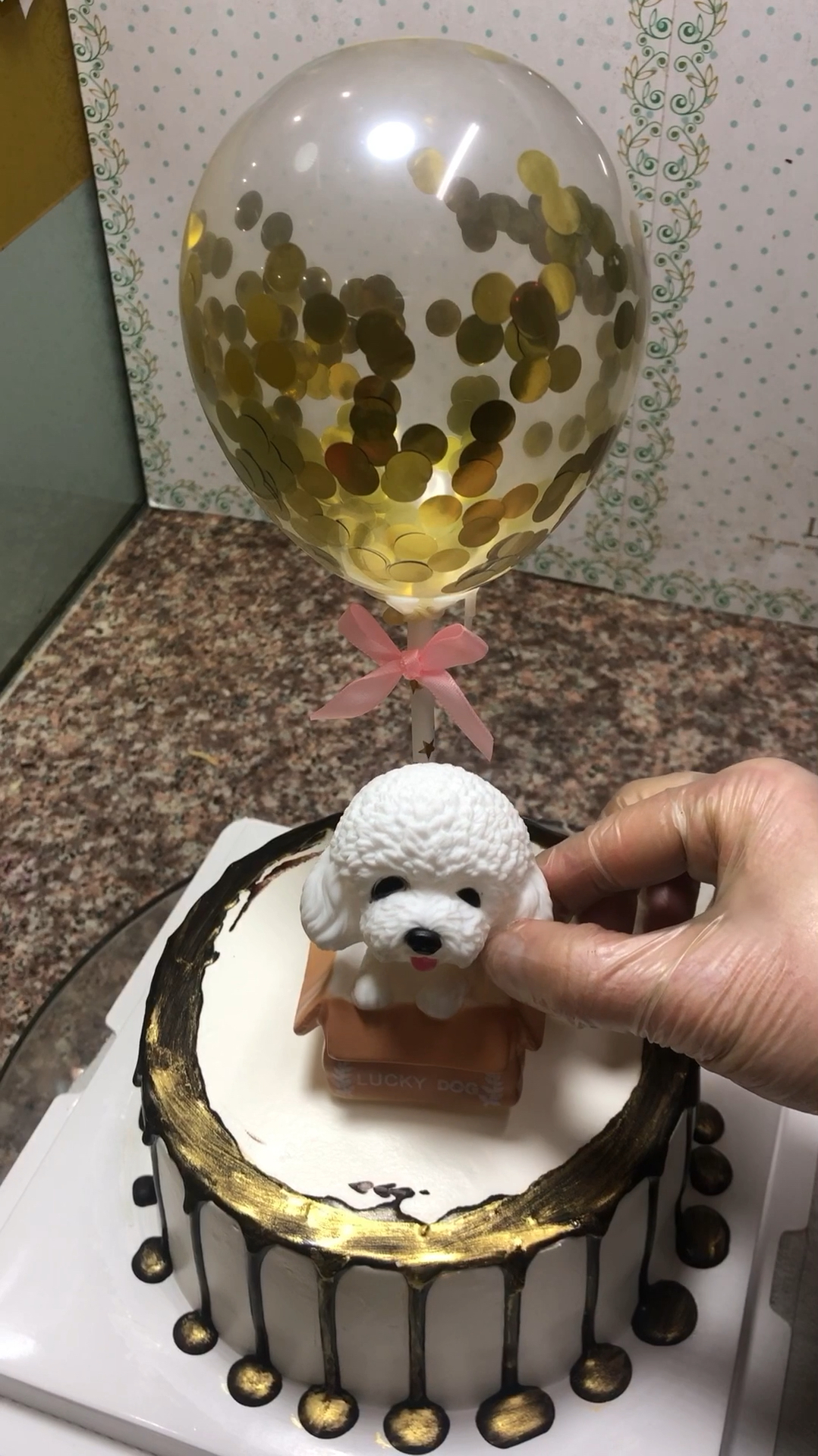 #卡通蛋糕#泰迪干饭了